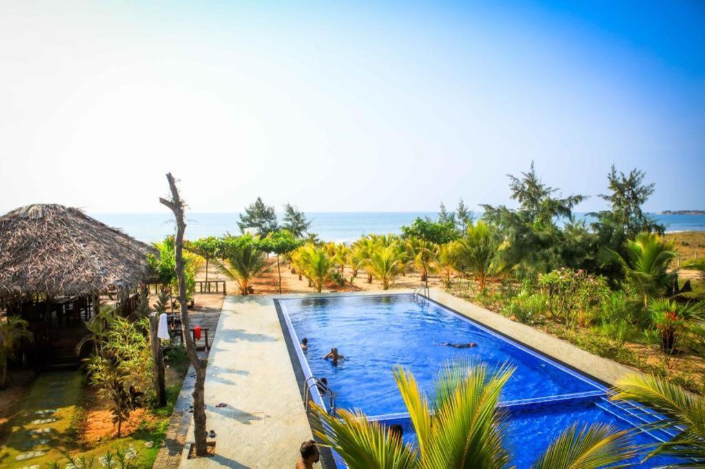 Whisky Point Surf Cabana Arugam Bay Exterior foto